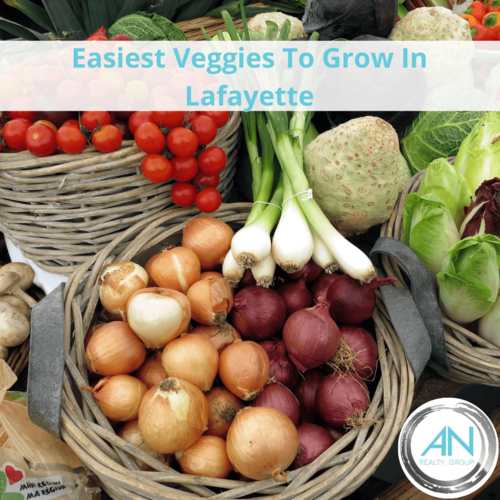 Easy Plants To Grow In Lafayette IN