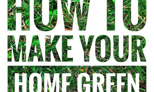Some Simple Steps To A Greener Home