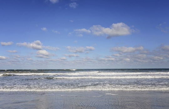 52-web-or-mls-Jax Beach_007
