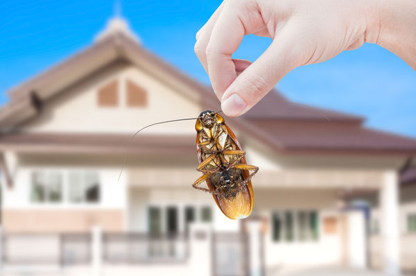 How to Be Proactive About Home …