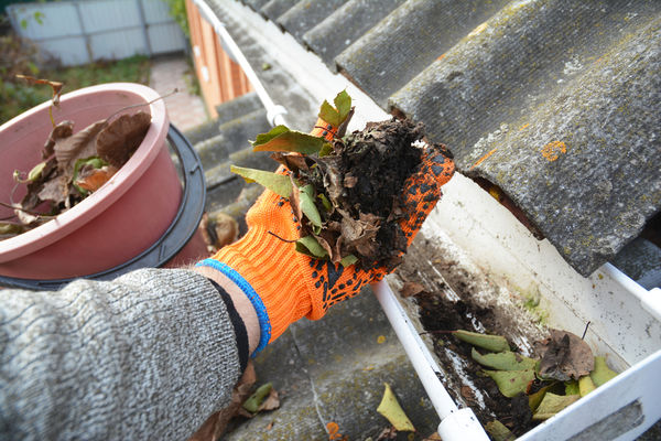 Pests You Need to Keep Away …