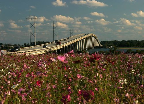 Cape-Carteret-Bridge-500&#215;360