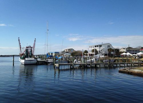 Swans-View-Details-pic-500&#215;360