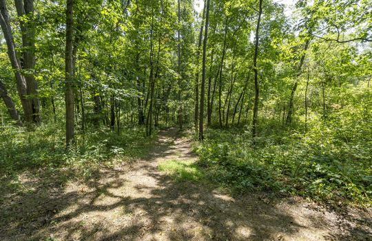 12701 Ayres Hwy Ext-31