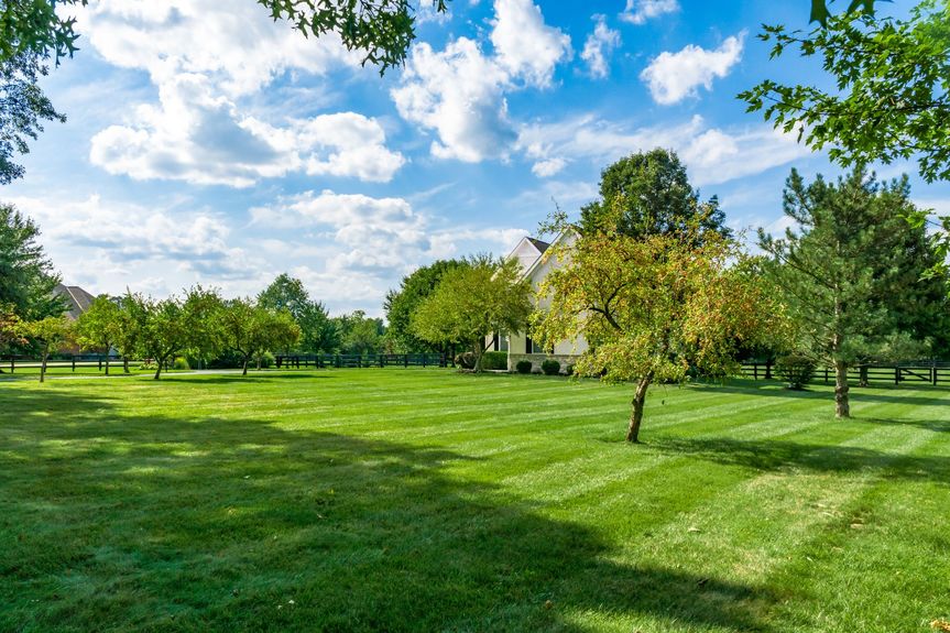 003_12 Fitzwilliams Rd 0237-2