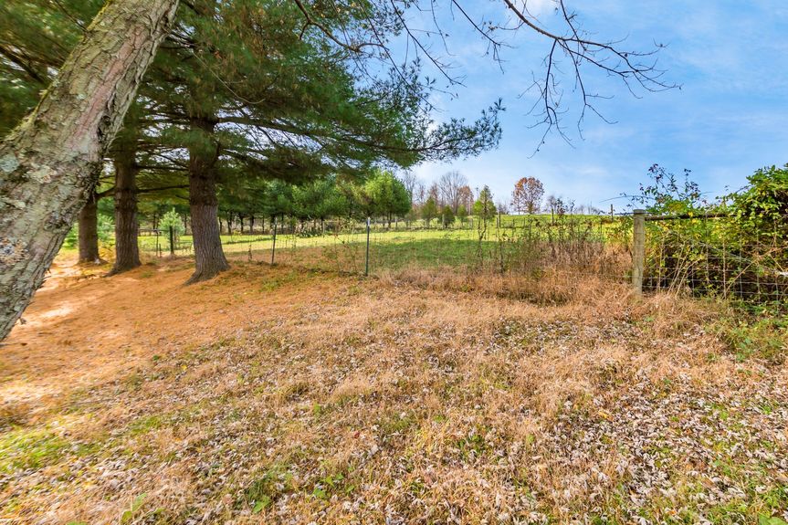 004_M- 11355 Hamby Hill Rd044