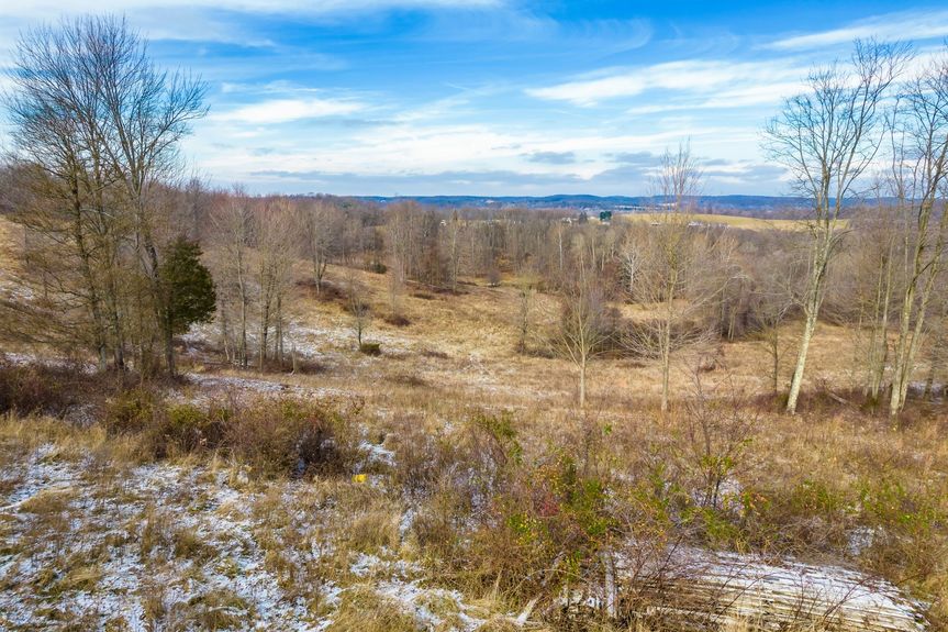 019_ Staddens Bridge Rd SE029