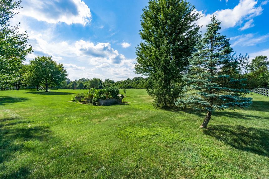 043_ 112 Fitzwilliams Rd 0196