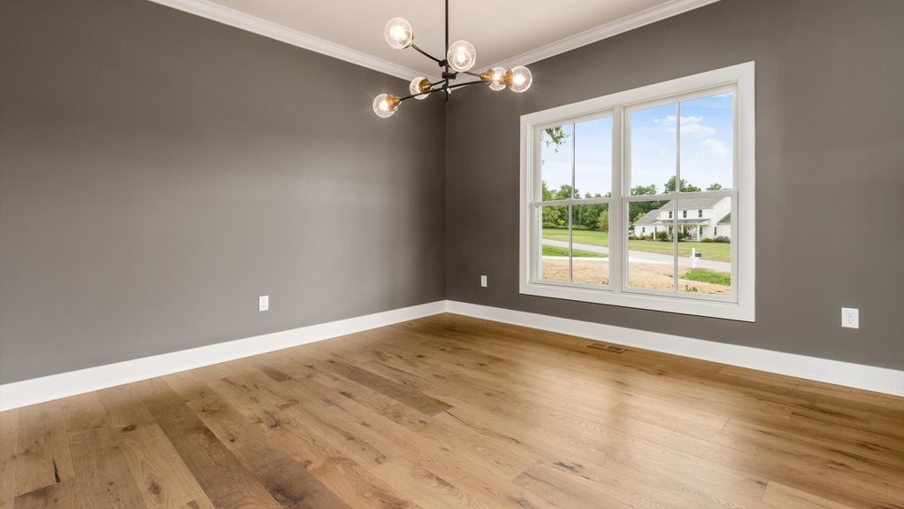 24-z 100 Sulwen Ln062