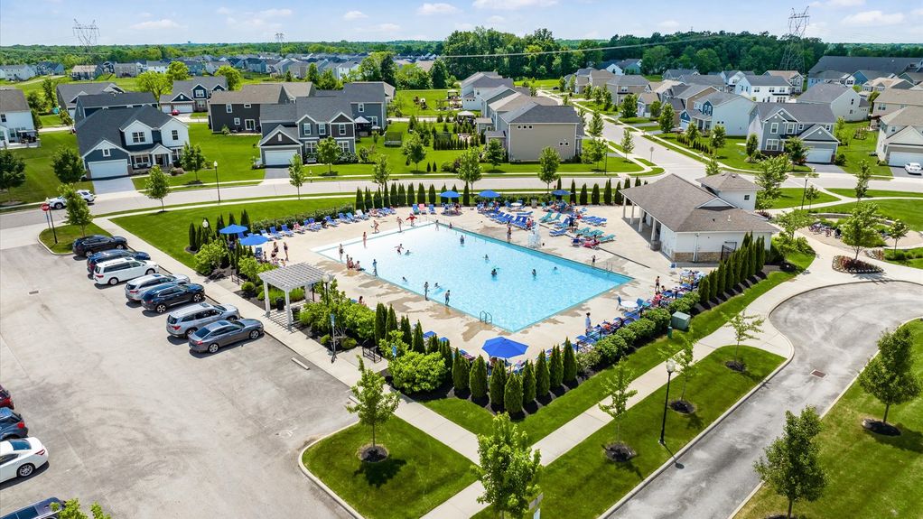 52-z 231 Leather Leaf155