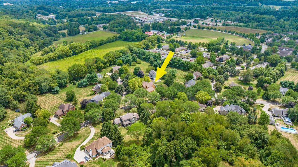 65-z 324 Longford173-2 arrow