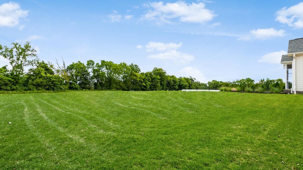 75-z 100 Sulwen Ln204