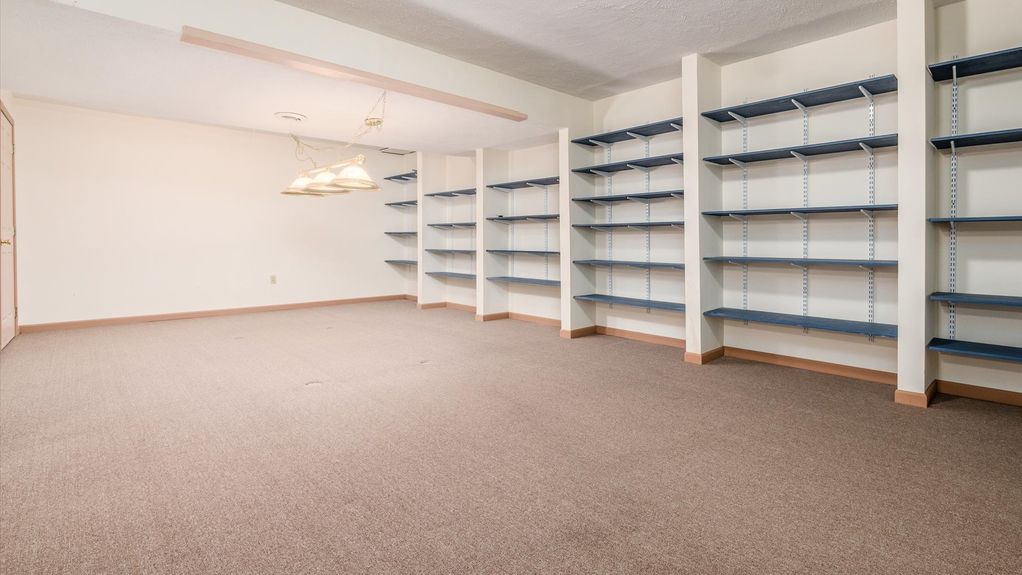 38-z 1251 Bluejack128