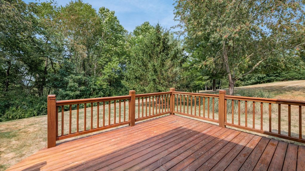 46-z 1251 Bluejack148