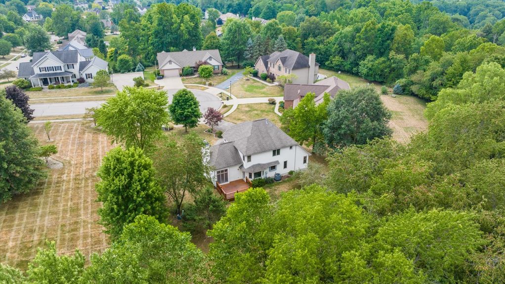 53-z 1251 Bluejack159