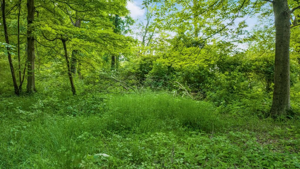 16-z 0 Columbus Rd011