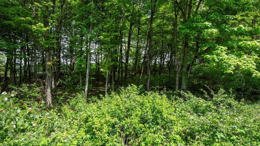 04-z 2971 Lancaster Rd005