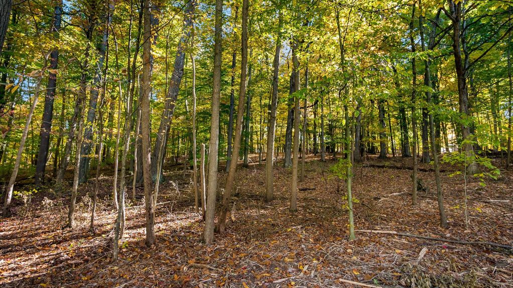 001-z 670 Welsh Ln279