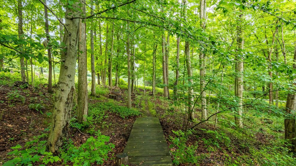 57-z 275 Bridle Path124