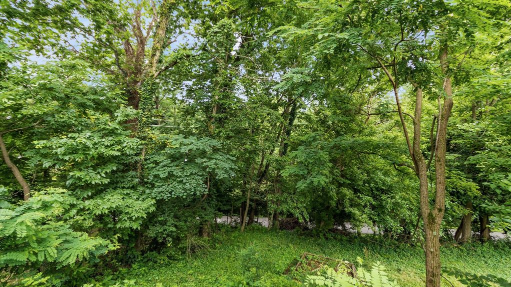 45-zj 339 W Maple St023