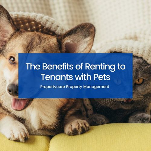 The Benefits of Renting to Tenants with Pets