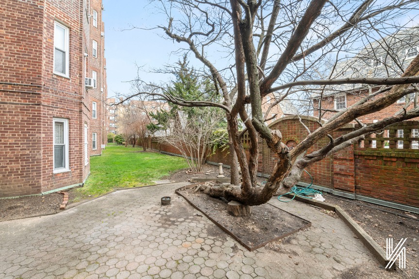 Tree outdside apartment building