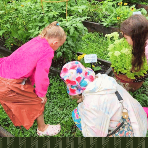 One Spot in Queens That’ll Make This Summer Unforgettable for Your Kids