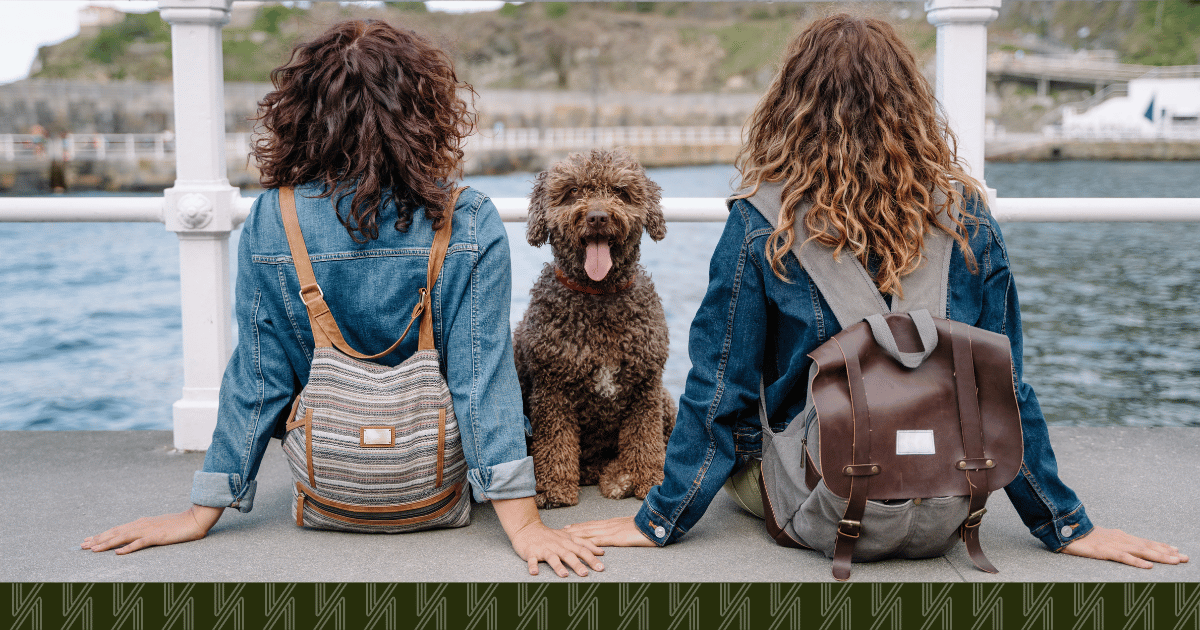 best-dog-neighborhoods-queens