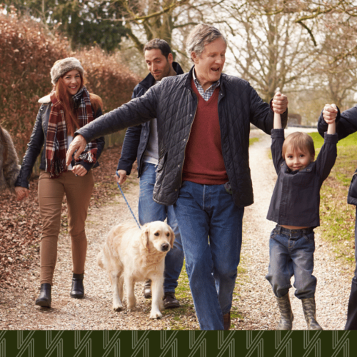 Fall in Full Color: Your 2025 Guide to Queens Weekends