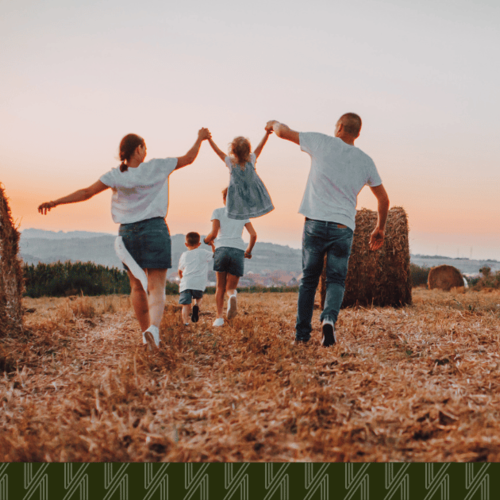 Everything You Need to Know About Queens Agricultural Fair