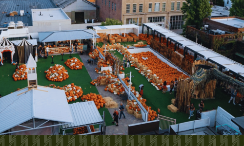 Rooftop Pumpkins with a Skyline: LIC’s New Fall Ritual