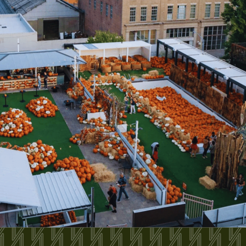 Rooftop Pumpkins with a Skyline: LIC’s New Fall Ritual