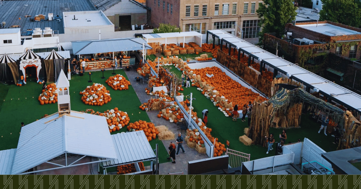 cityside-pumpkin-patch-summer-club-lic