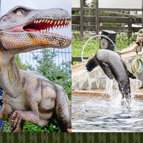 Weekend in Queens: Dinosaurs and Día de los Muertos at the Zoo