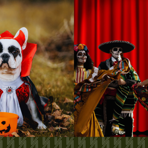 Weekend in Queens: Howl-O-Ween Pawty and Day of the Dead Fun