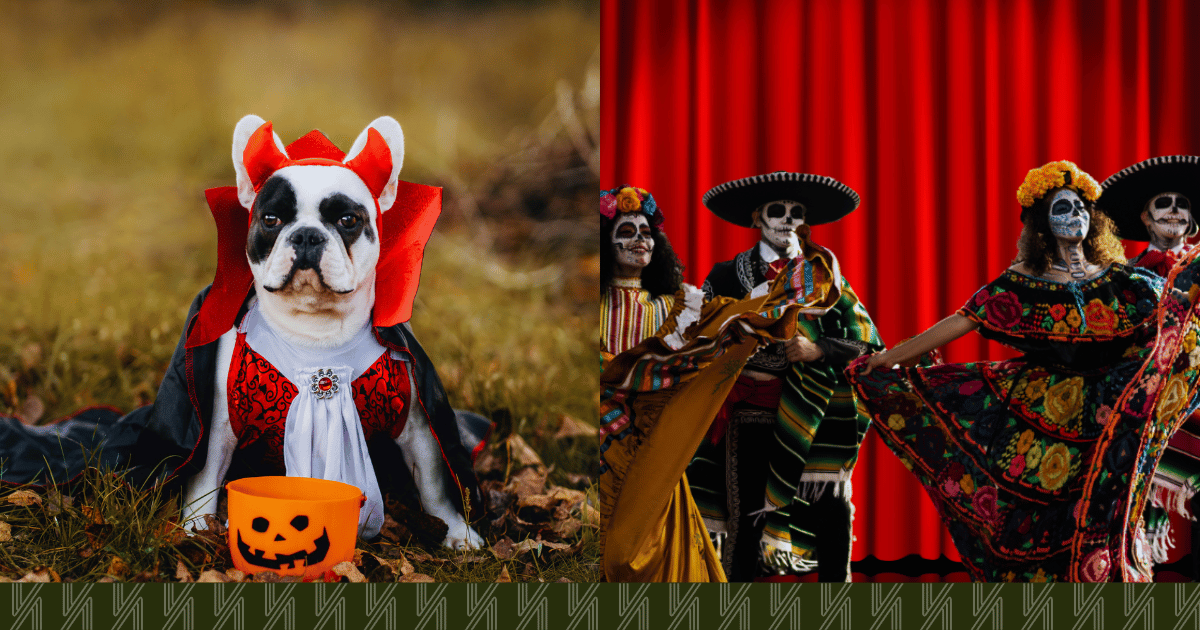 weekend-in-queens-nyc-dog-pawty-and-musical
