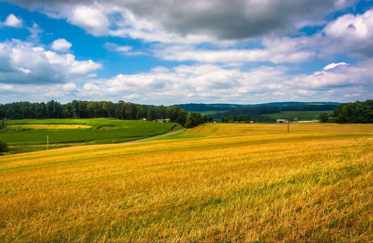 Carroll County