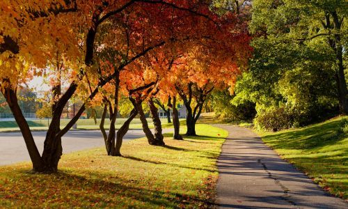 Hello, September! Home Tips to Welcome Fall With Style