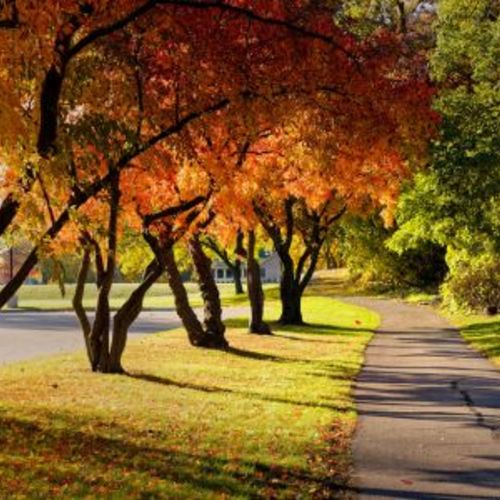 Hello, September! Home Tips to Welcome Fall With Style