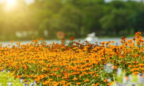 Your April Home Checklist: Open, Growing & Full of Possibility