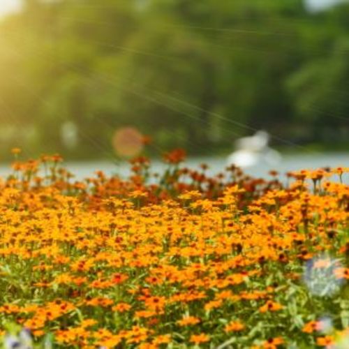 Your April Home Checklist: Open, Growing & Full of Possibility