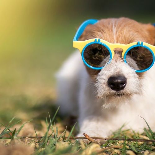 Your August Home Checklist: Cool, Organized & Ready for the Back-to-Routine Season
