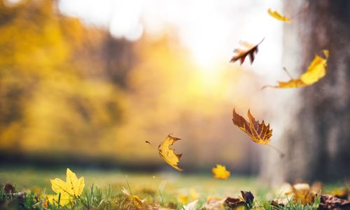 Your September Home Checklist: Fresh, Cozy & Ready &hellip;