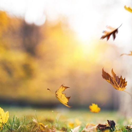Your September Home Checklist: Fresh, Cozy & Ready for Fall
