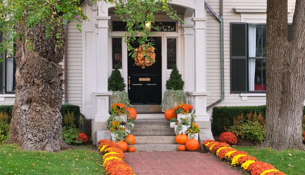 OCT