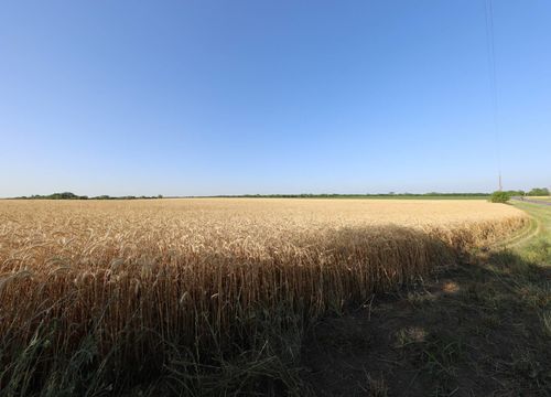 Fields in Grayson County- New Home-Community (1)