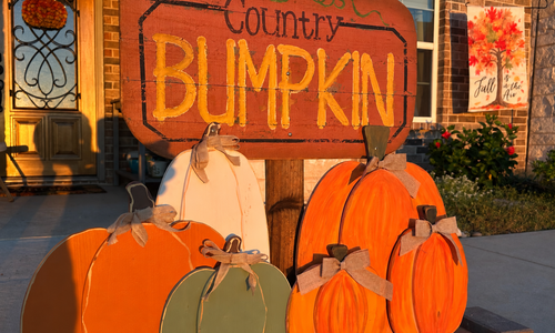 Today's "Country Bumkin" is Very Different