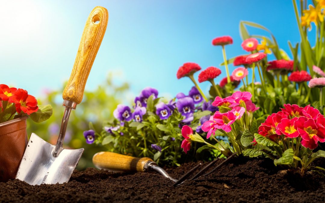 Preparing for Spring – Get Your Landscaping Up to Par
