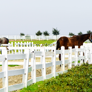 Equestrian and Farms