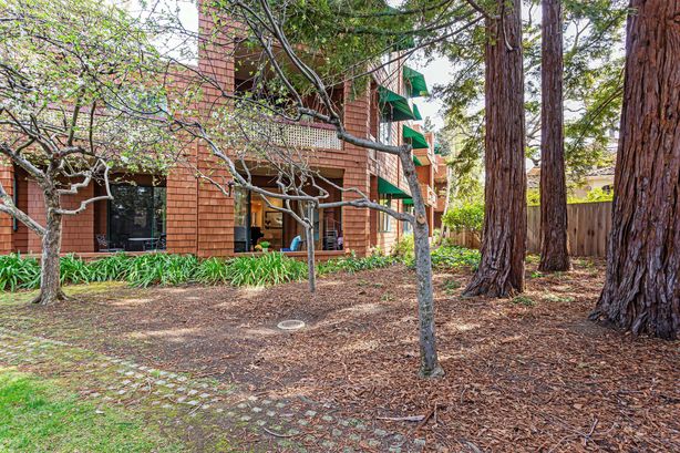 19_4250_El_Camino_Real_D133 Palo_Alto California 26